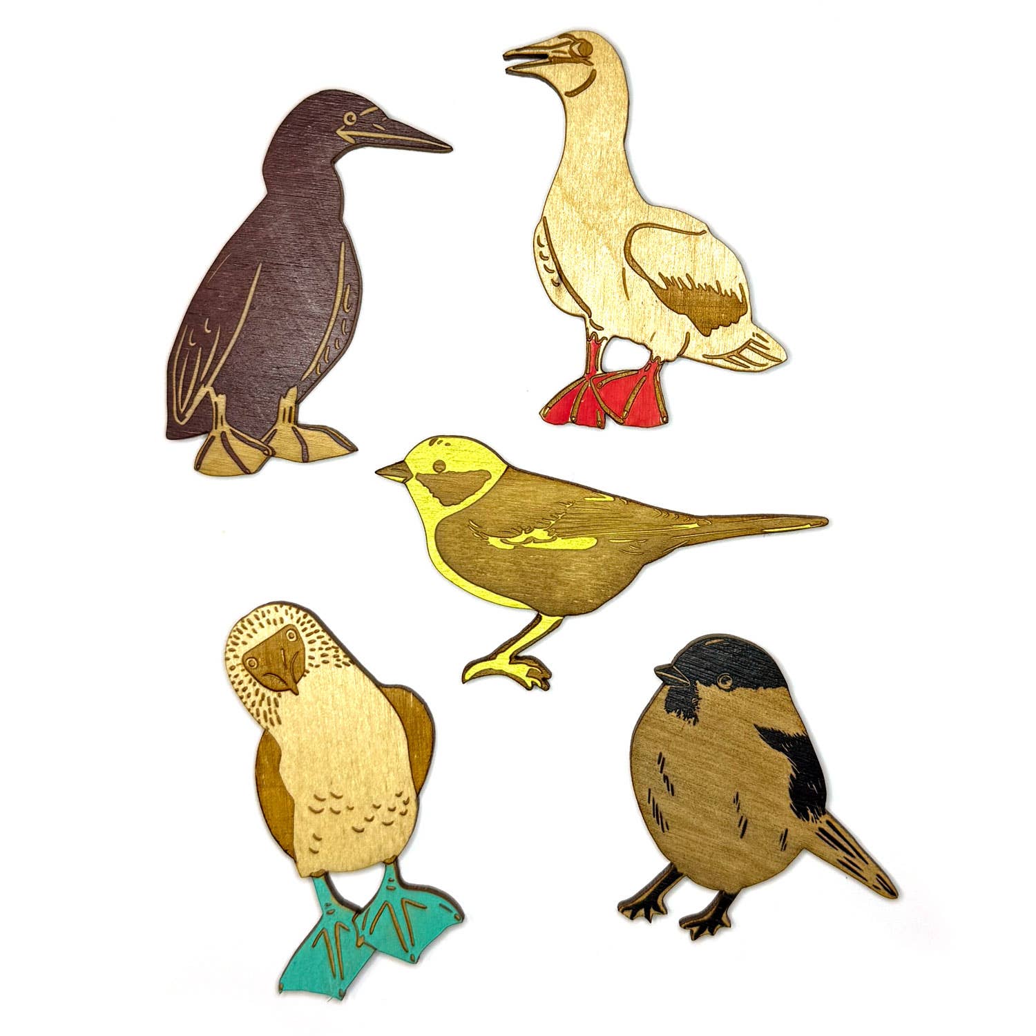Birds Gone Wild - Tits and Boobies - Set of 5 Magnets – SnowMade, Inc