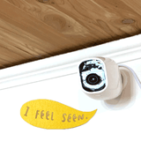 Security Camera Speech Bubble Signs